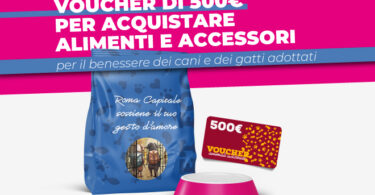 Animali, voucher per acquisto alimenti e accessori
