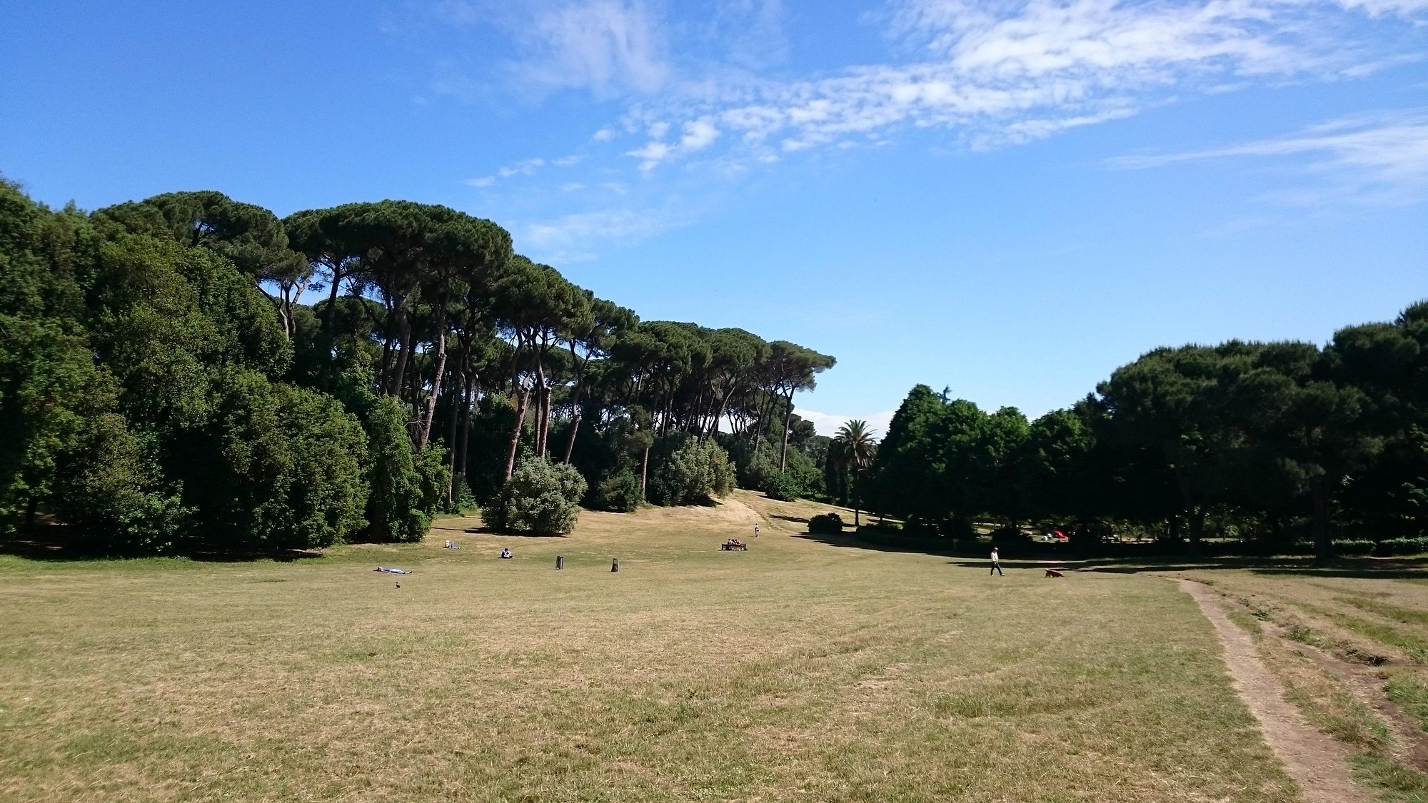 villa ada roma