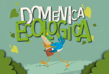 domenica ecologica roma