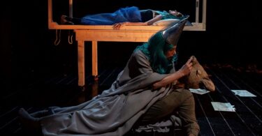 pinocchio teatro roma