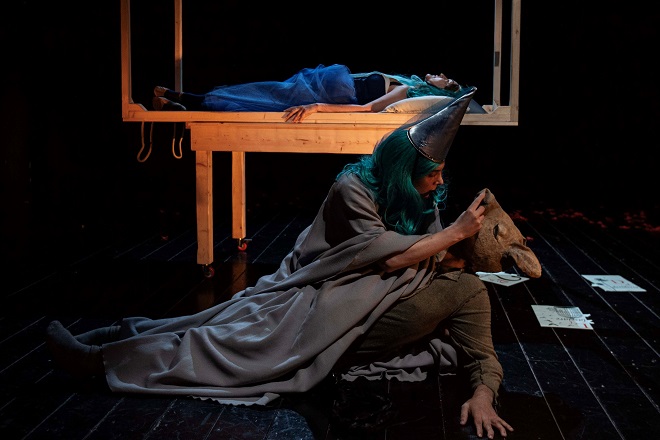 pinocchio teatro roma