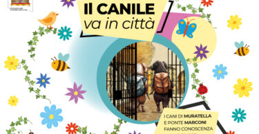 il canile va in citta villa borghese