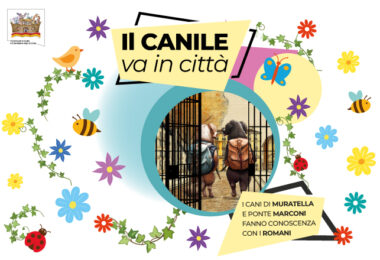 il canile va in citta villa borghese