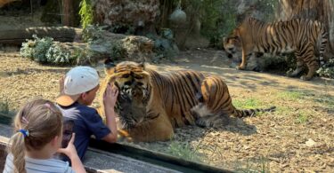 Bioparco