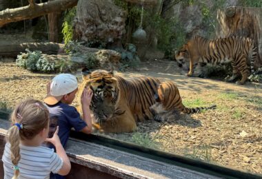 Bioparco