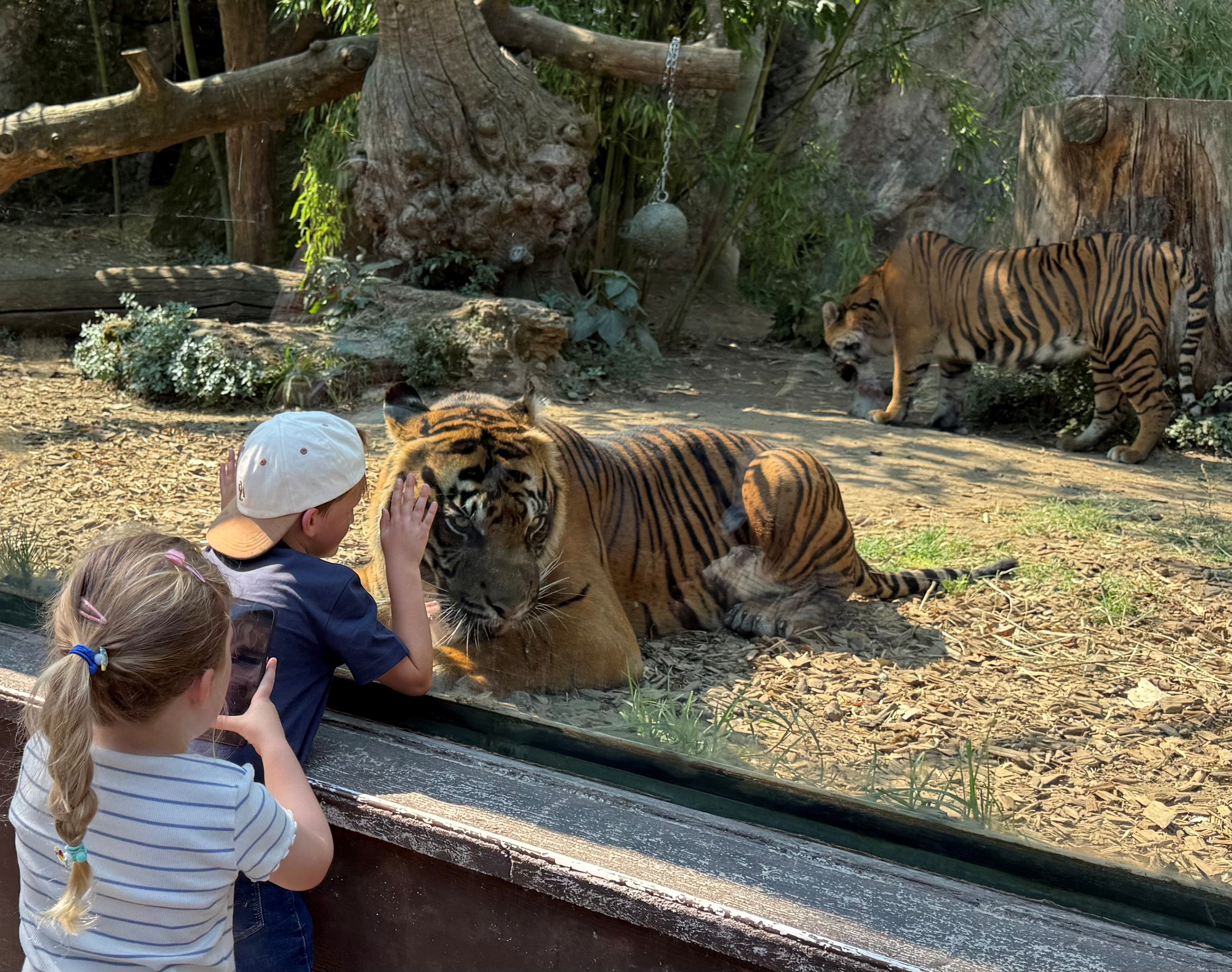Bioparco