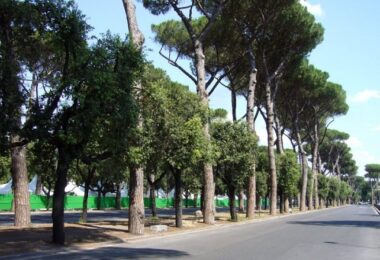 alberi_masterplan_