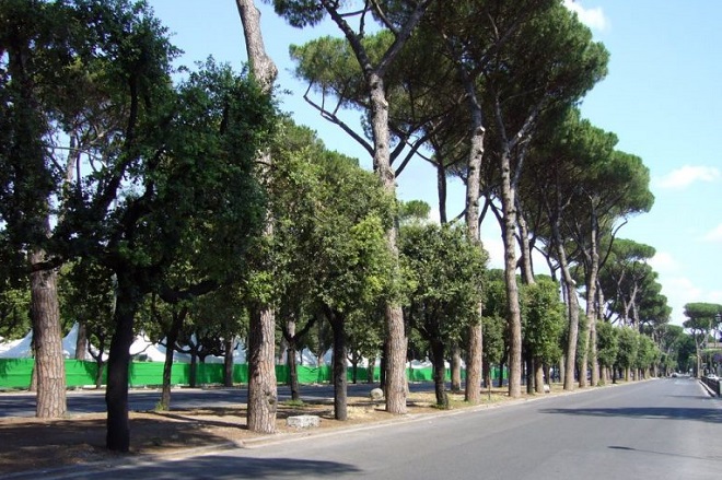 alberi_masterplan_
