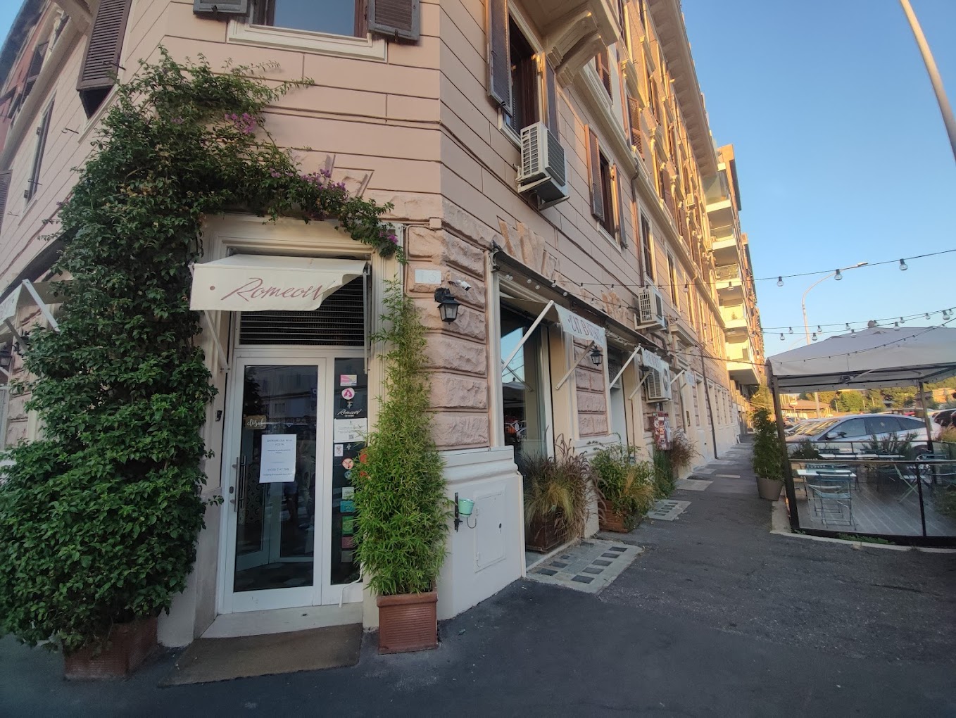 romeow cat bistrot